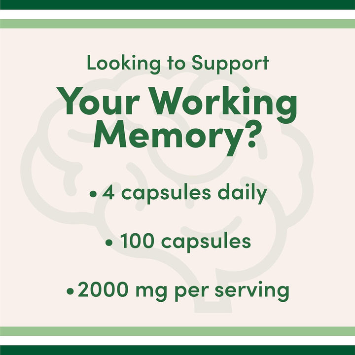Magnesium L Threonate Capsules (Magtein) – High Absorption Supplement – Bioavailable Form for Sleep and Cognitive Function Support – 2,000 Mg – 100 Capsules